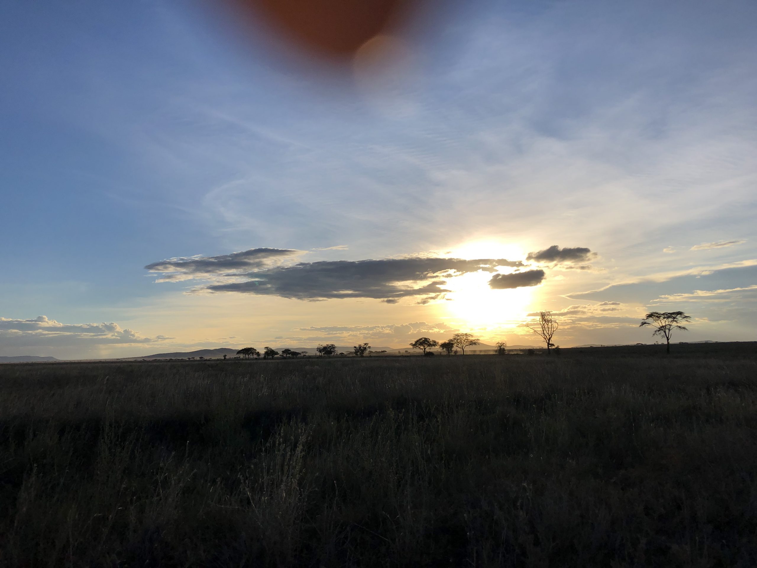 tanzanian sunset